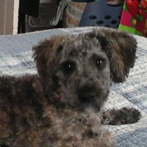 Meet your Posher, Julian